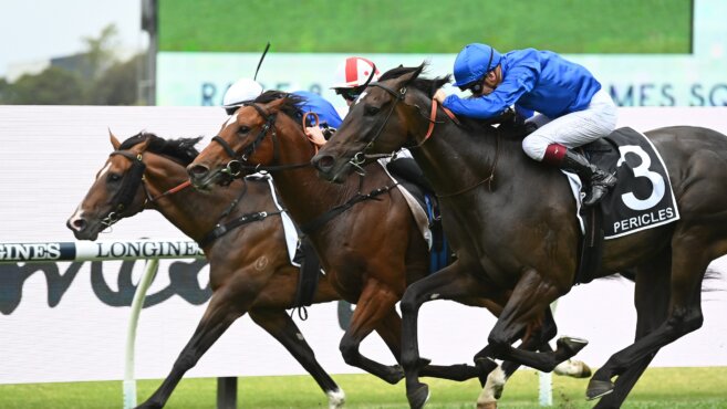 Sunshine Coast Tips & Preview | Saturday 24 January