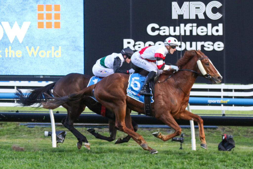Pinstriped winning the 2024 Memsie Stakes at Caulfield
