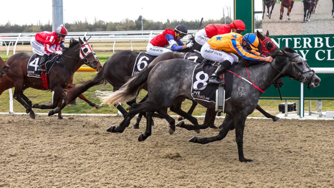 Riccarton Synthetic Tips & Preview | Wednesday 27 May