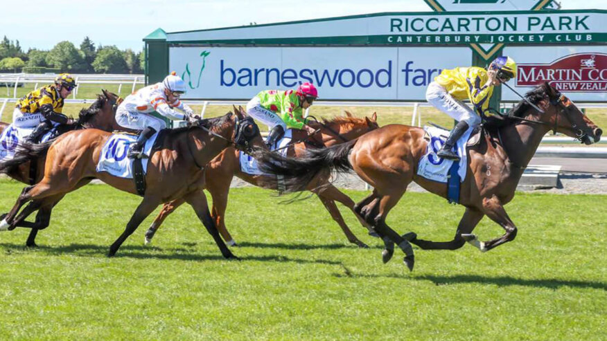 2025 New Zealand 1000 Guineas Preview