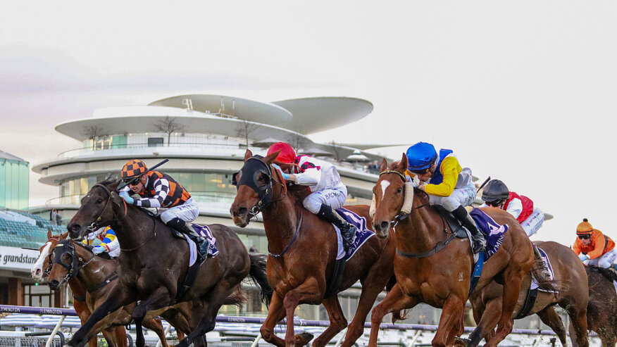 Flemington Racing Previews