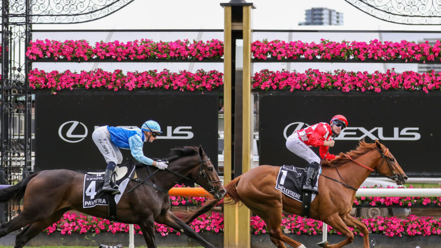 2025 Empire Rose Stakes Betting