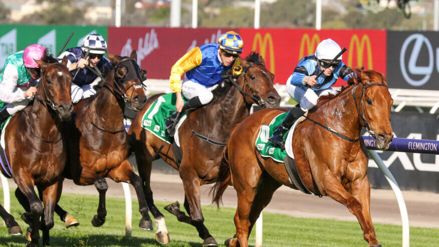 Turnbull Stakes Betting