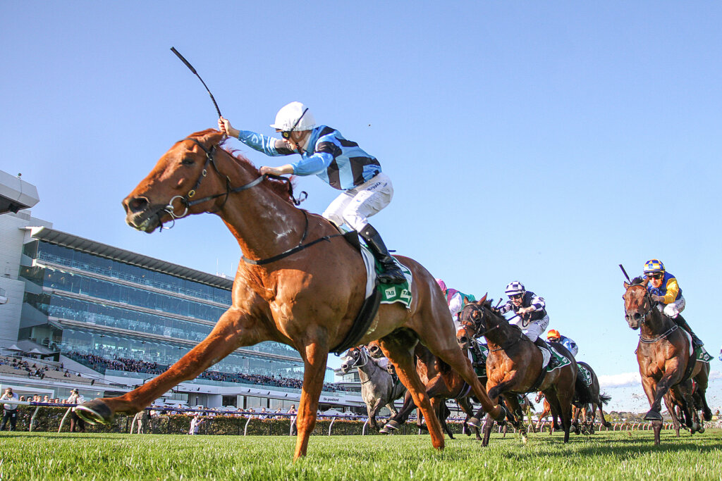2022 Turnbull Stakes winner Smokin' Romans