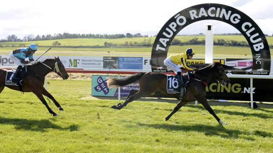 Taupo Tips & Preview | Friday 11 September
