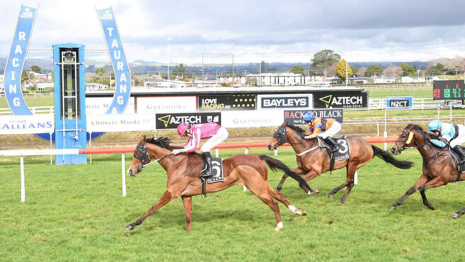 Tauranga Tips & Preview | Friday 29 May