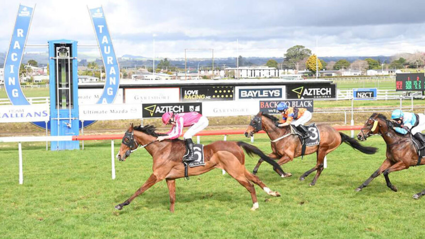 Tauranga Tips & Preview | Saturday 27 June