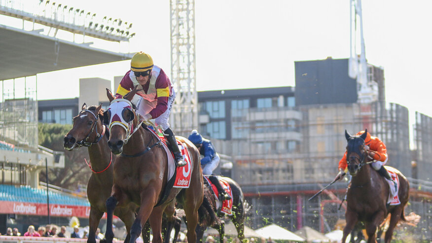Moonee Valley Racing Previews