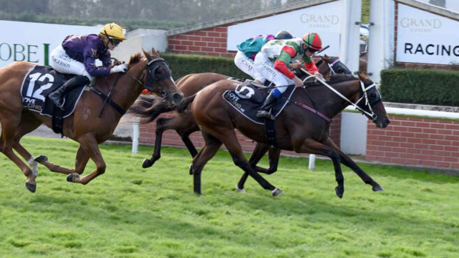 Wingatui Tips & Preview | Sunday 31 May