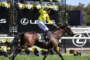 Without A Fight winning the 2023 Lexus Melbourne Cup
