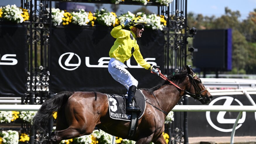 2025 Melbourne Cup Preview