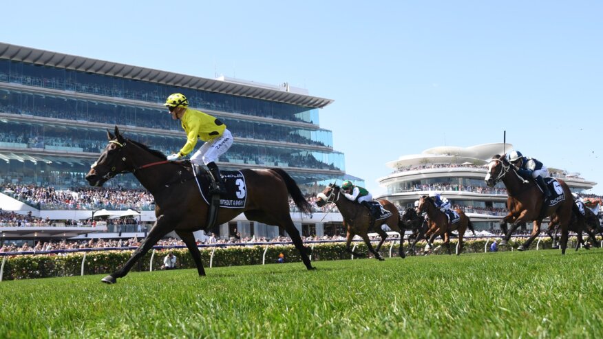 2025 Melbourne Cup Betting