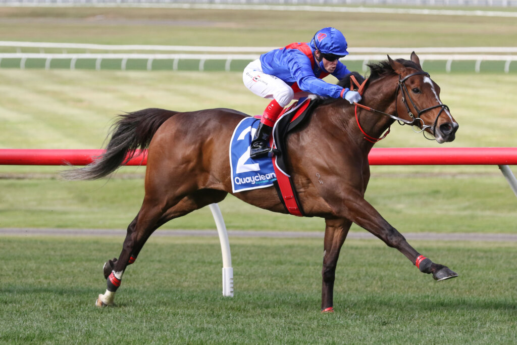 2021 Underwood Stakes winner Zaaki