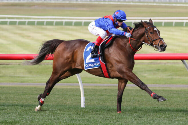 Sale Tips & Preview | Wednesday 10 June