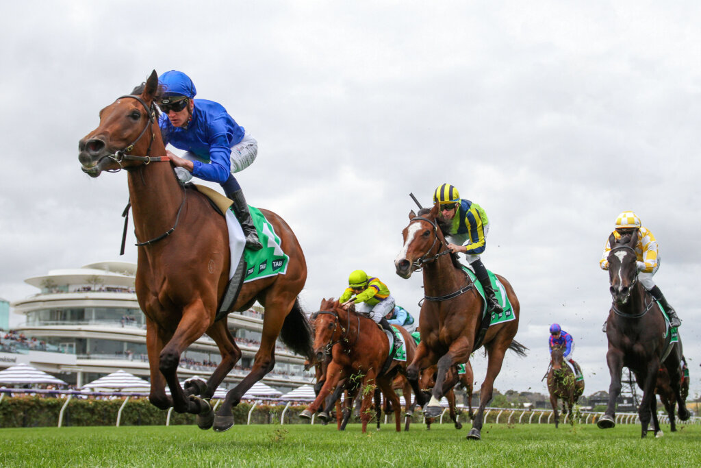 2023 VRC Oaks winning filly Zardozi