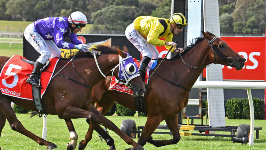 Sandown Racing Preview