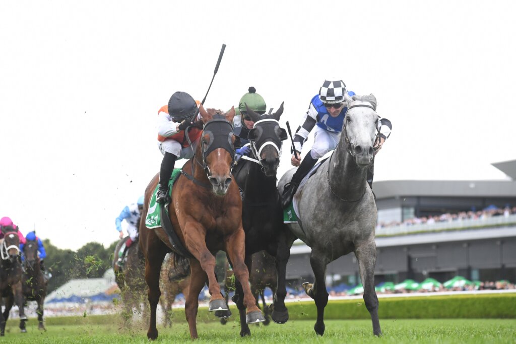 Ellsberg and Top Ranked dead-heated in the 2022 Epsom Handicap results