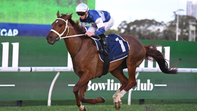 Wyong Gold Cup Tips 2026: Predictions & Best Bets