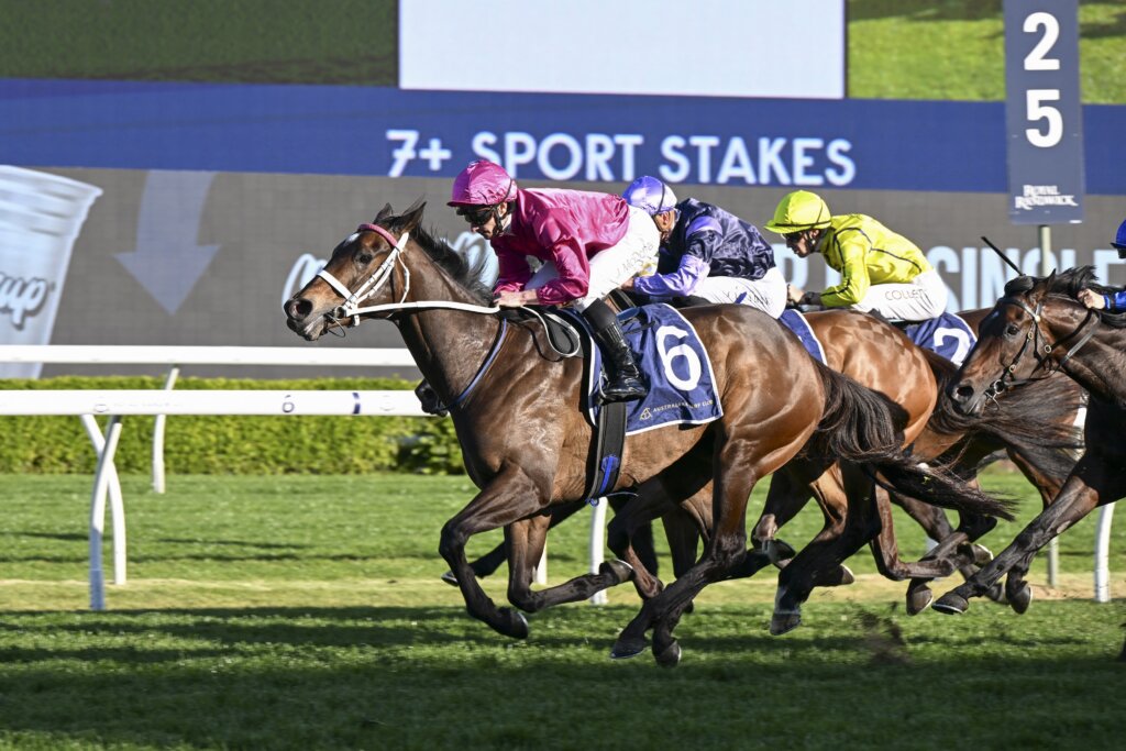 2024 7 Stakes winning mare Fangirl