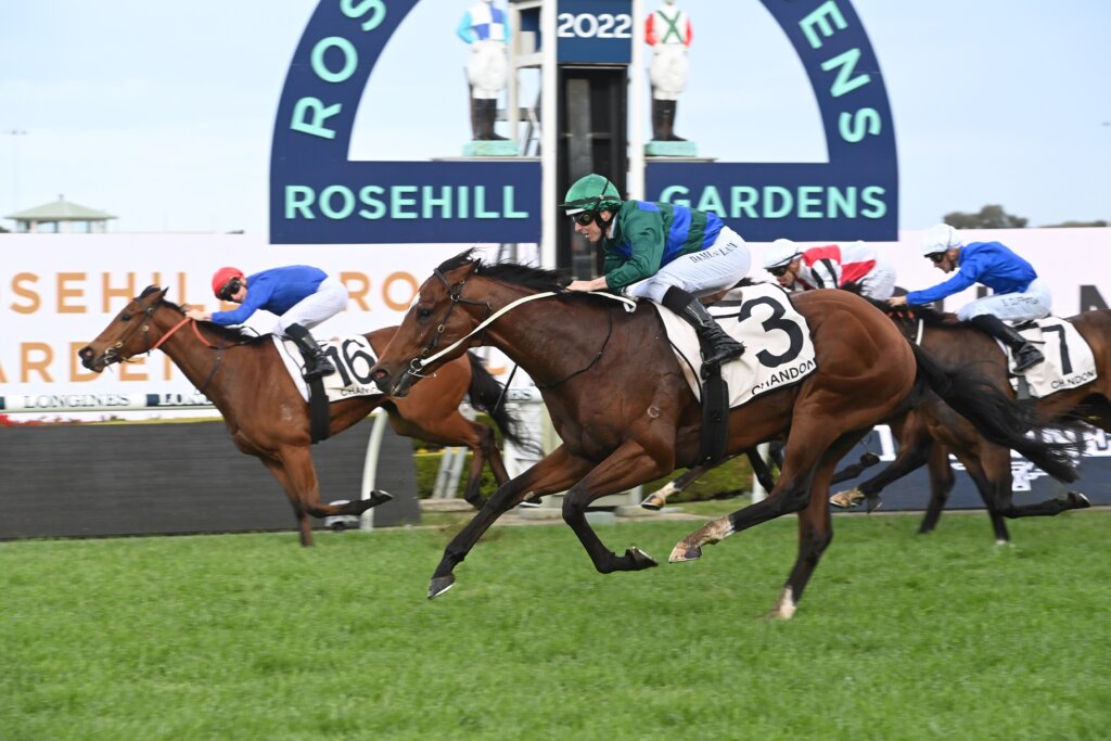 2022 Golden Rose winner Jacquinot