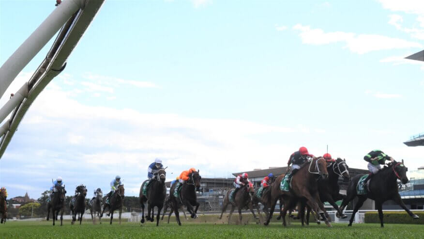 Flight Stakes Preview