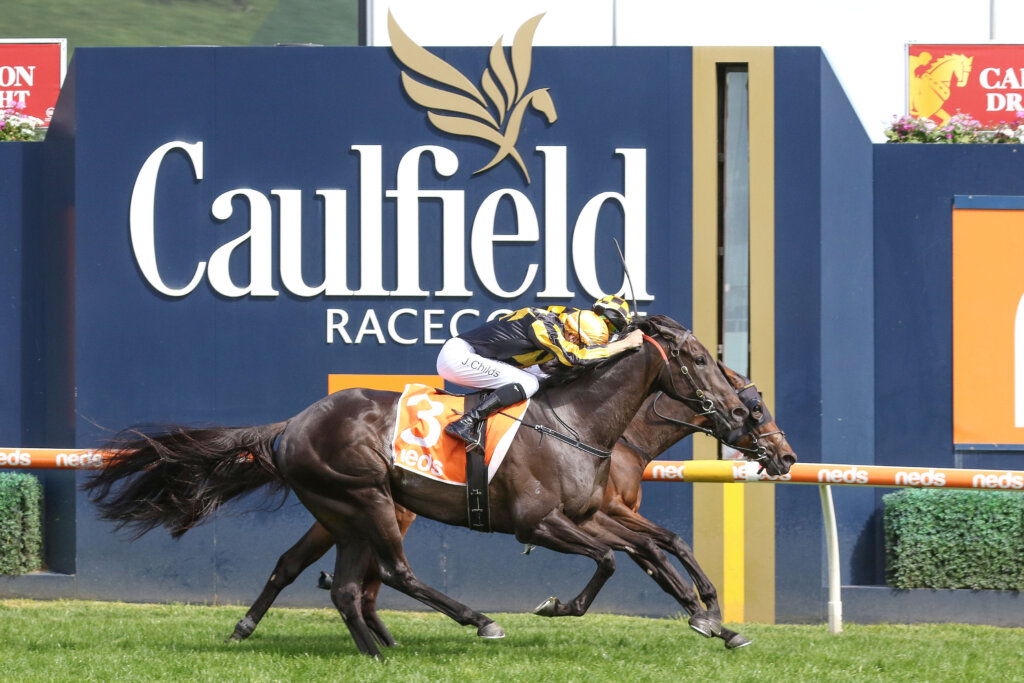Class Kiwi mare Probabeel winning the 2021 Might And Power Stakes in Melbourne
