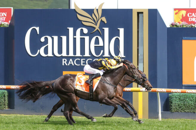 Caulfield Heath Preview - Wednesday, November 12