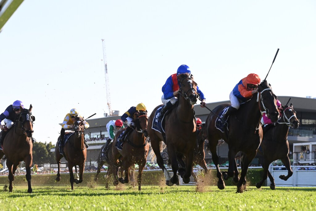 Think It Over winning the 2023 7 Stakes race at Royal Randwick