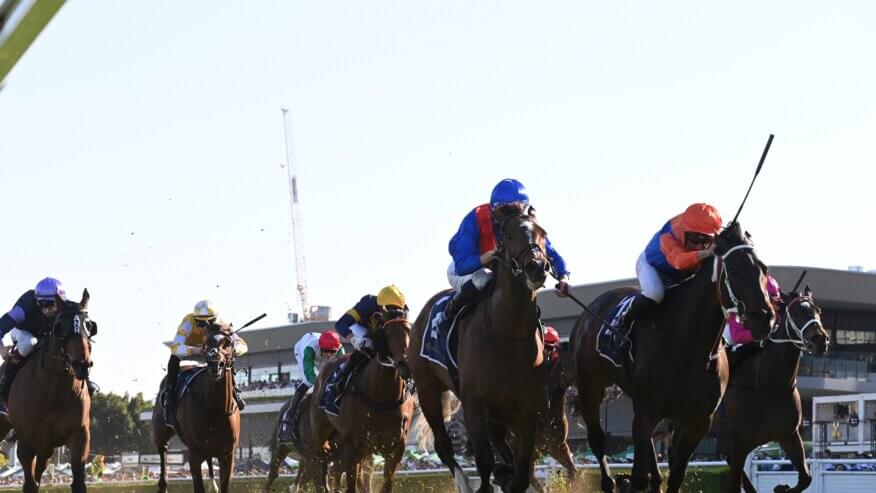 2025 Epsom Handicap Preview