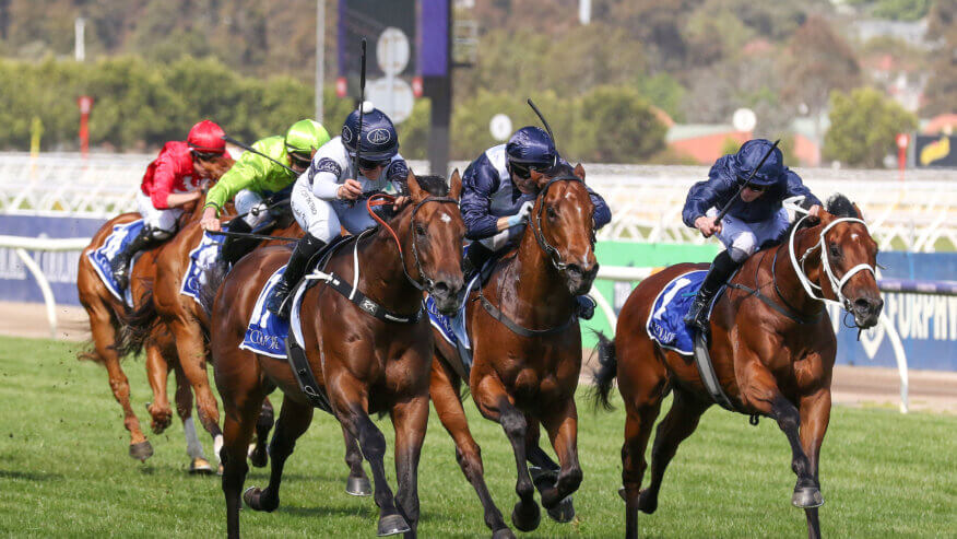 Coolmore Stud Stakes Betting