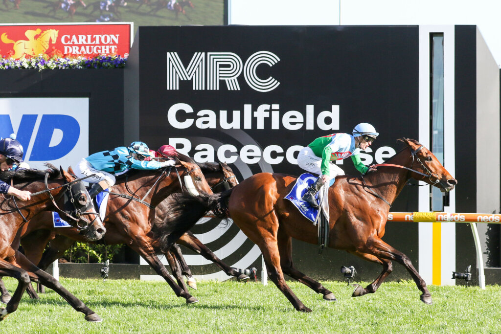 2022 Toorak Handicap winner Tuvalu (Caulfield)