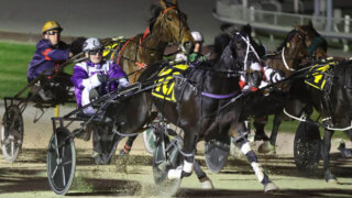 A closely packed field of horses near the finish line of a race at the Addington Harness track