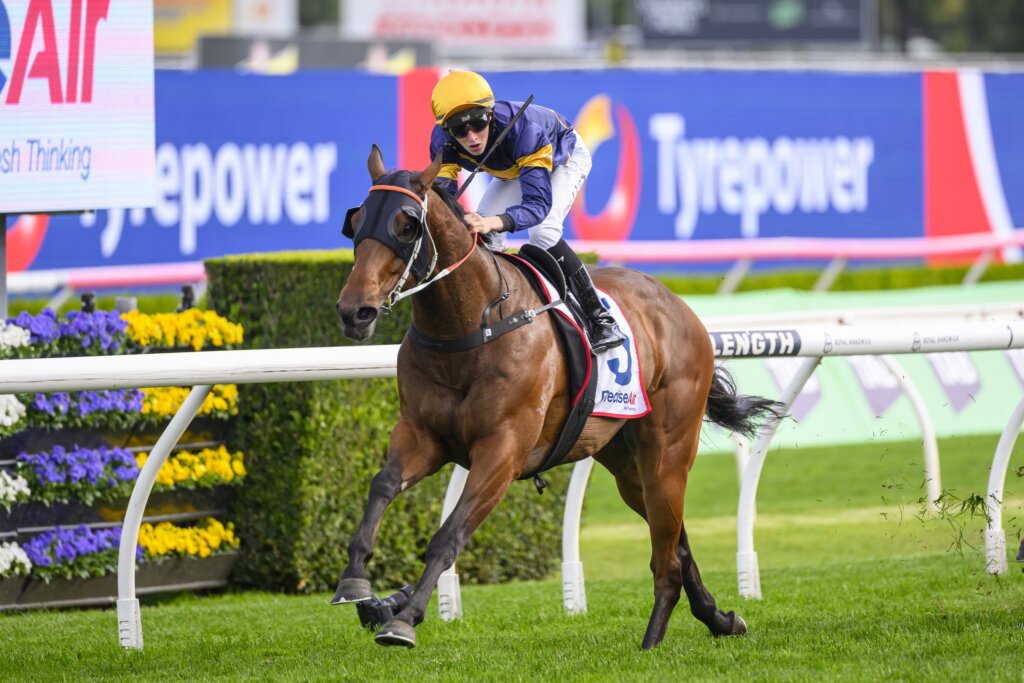 Airman scoring an upset at 40/1 in the 2024 Premiere Stakes at Randwick