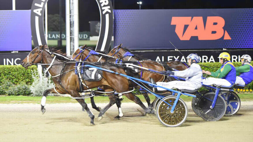 Alexandra Park Harness Tips & Preview | Friday 26 June