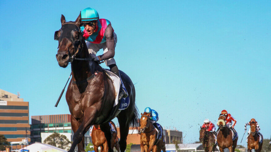 Thousand Guineas Betting