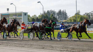 A bunched field of horses near the finish of a harness race at the Cambridge Harness track