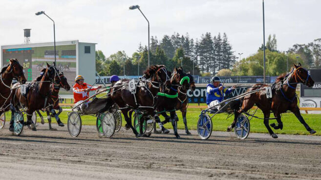 Cambridge Harness Tips & Preview | Sunday 4 January