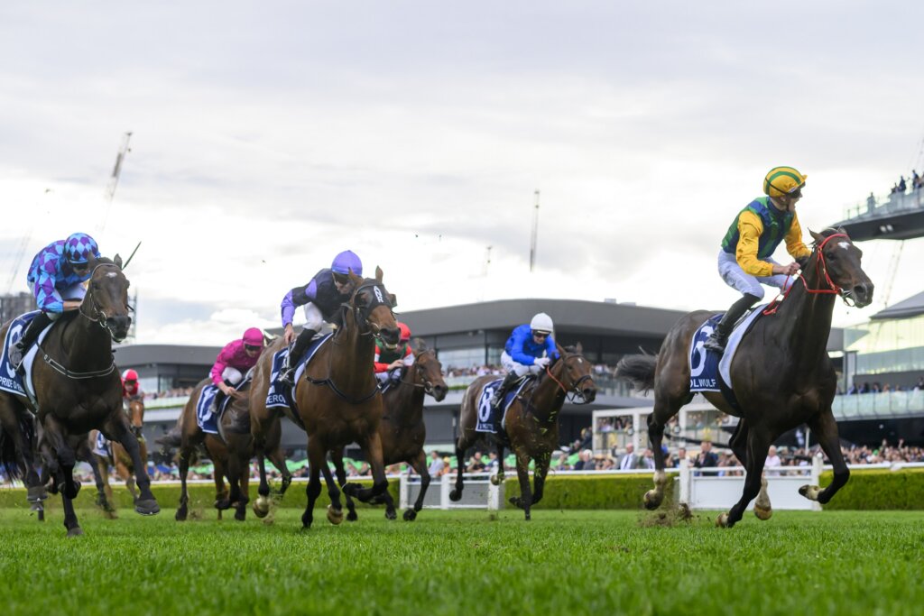 Ceolwulf winning Randwick's 2024 King Charles III Stakes