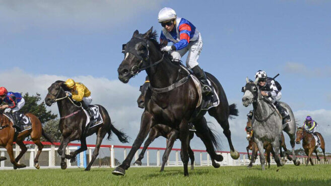 Randwick Tips & Preview | Saturday 11 July