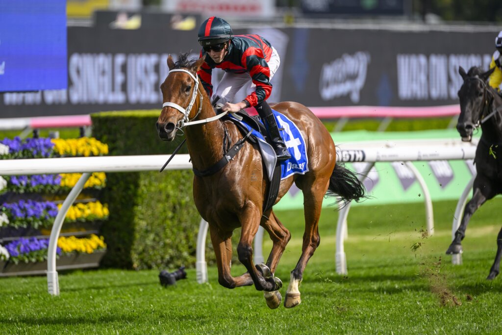 Lady Shenandoah saluting in the 2024 Flight Stakes at Randwick