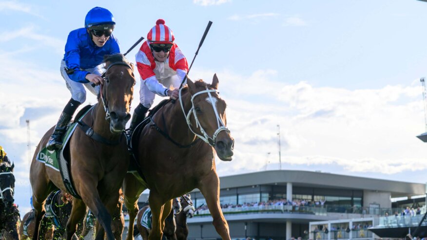 Queen Elizabeth Stakes Preview