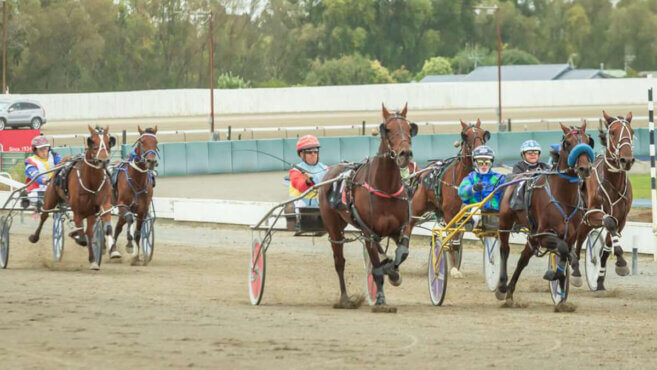 Palmerston North Harness Tips & Preview | Thursday 9 April
