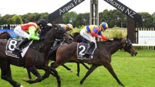 A shot of the finish of a thoroughbred race at Arawa Park in Rotorua