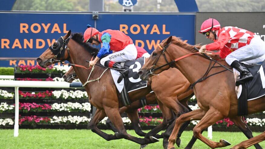 Spring Champion Stakes Betting