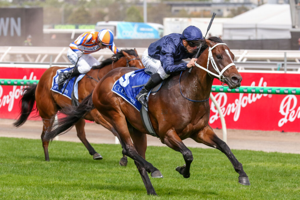 2024 Coolmore Stud Stakes winner Switzerland