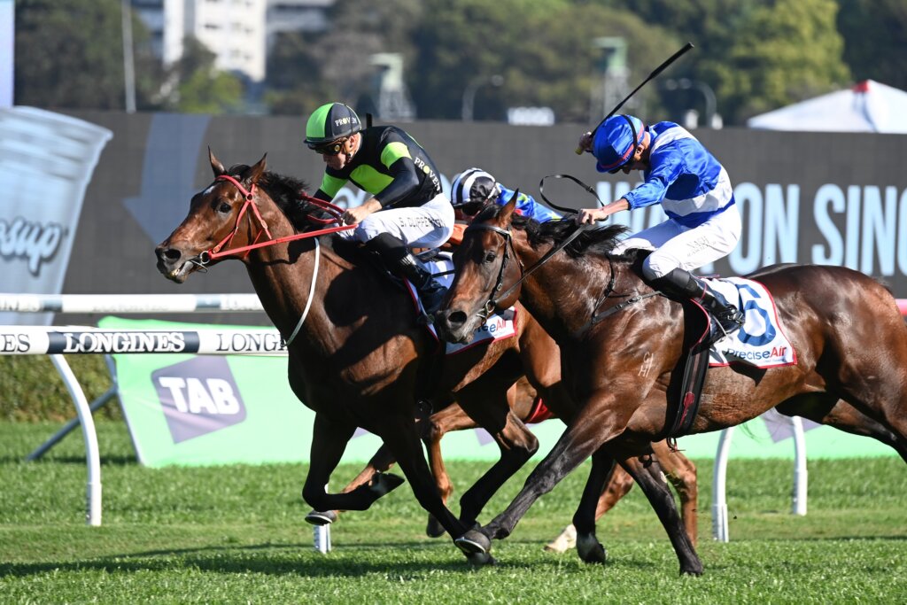 2023 Premiere Stakes winner Think About It