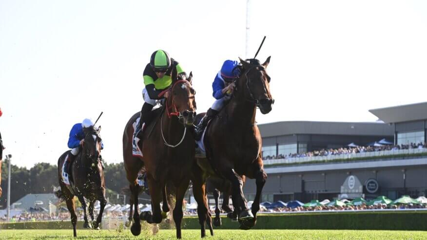 Premiere Stakes Betting