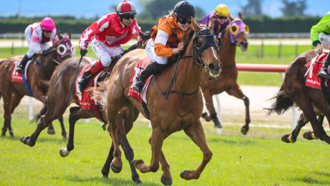 Timaru Tips & Preview | Sunday 7 June