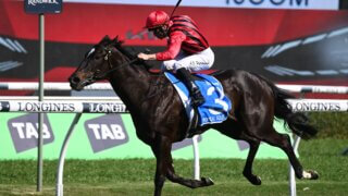 Tropical Squall winning the 2024 Flight Stakes at Randwick in Sydney