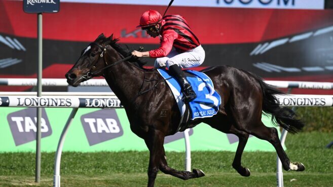 Warwick Farm Tips & Preview | Wednesday July 15